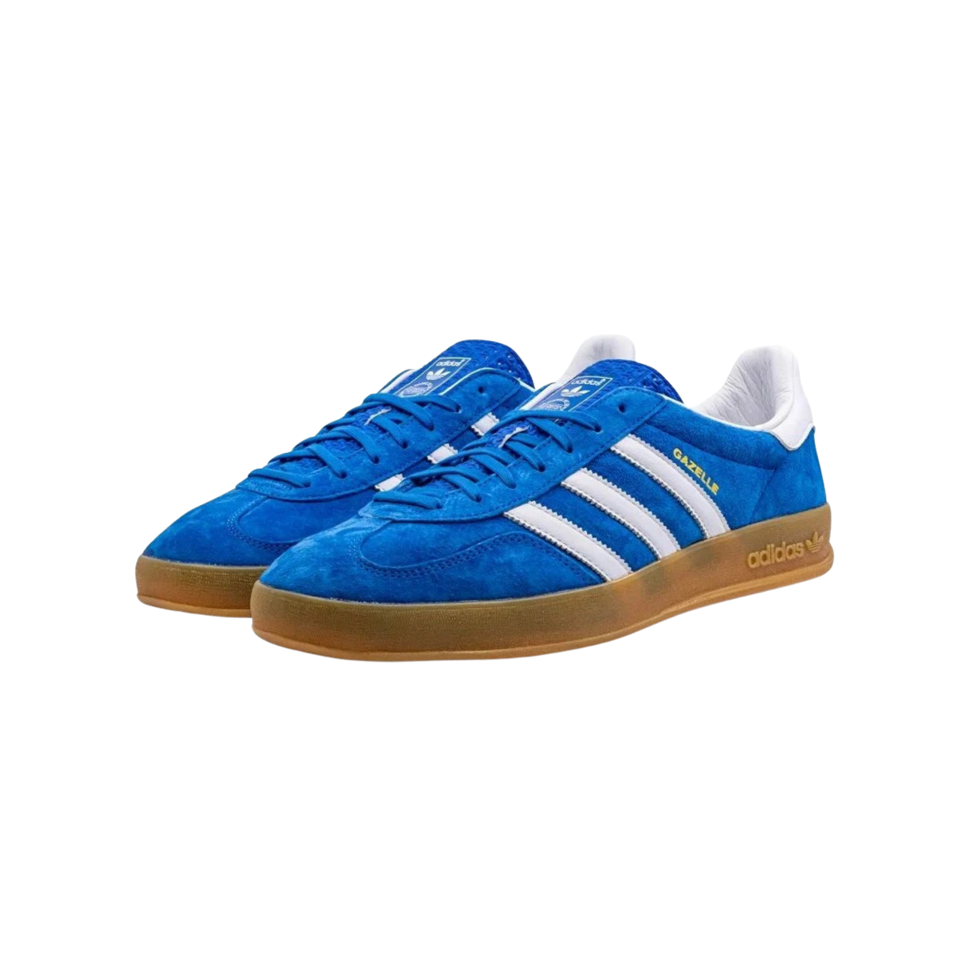 gazelle blue bird