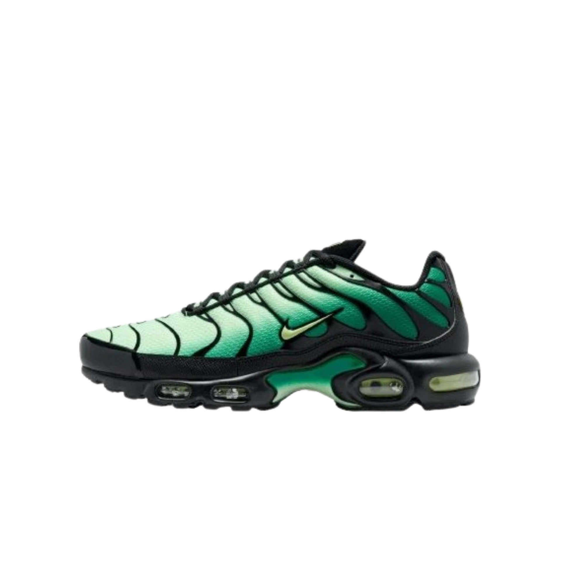 Air max Plus Green Gradient