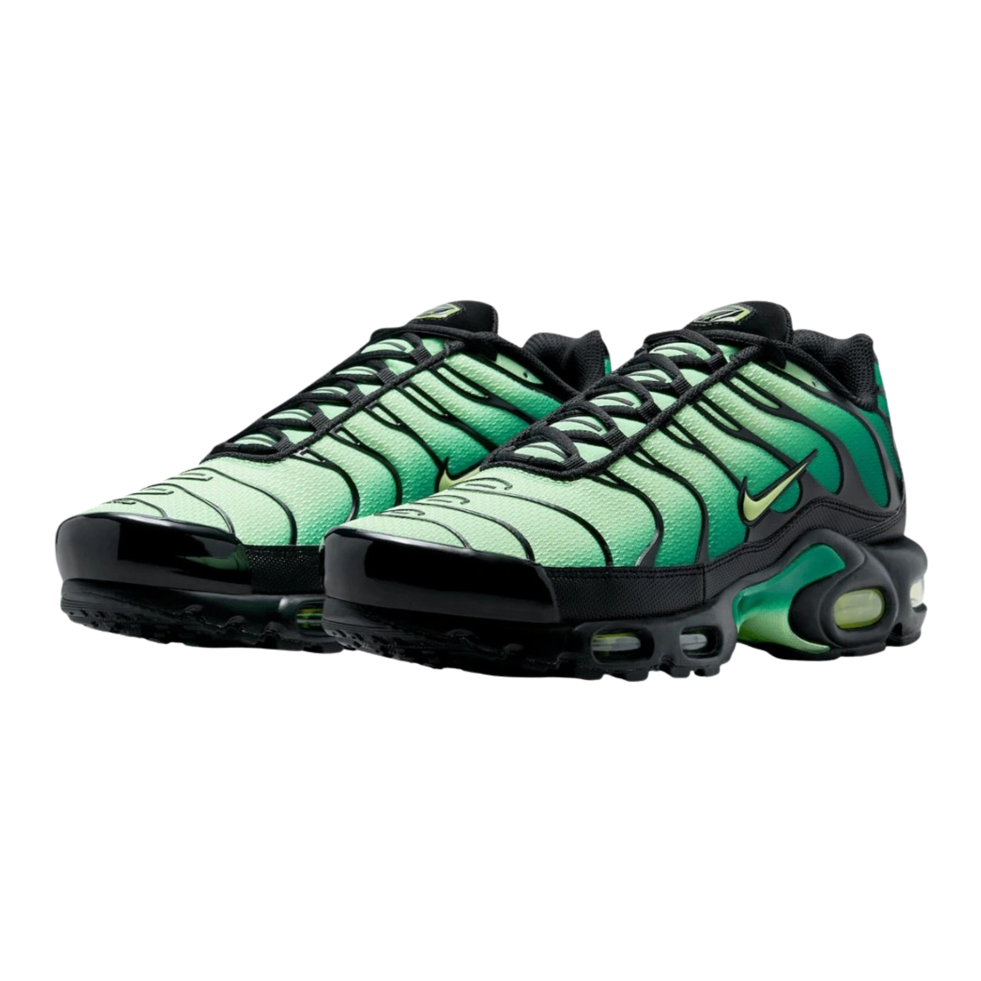 Air max Plus Green Gradient